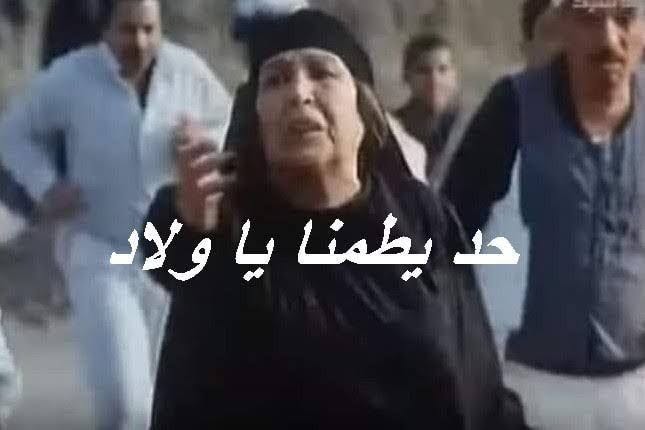 TM7Q8A