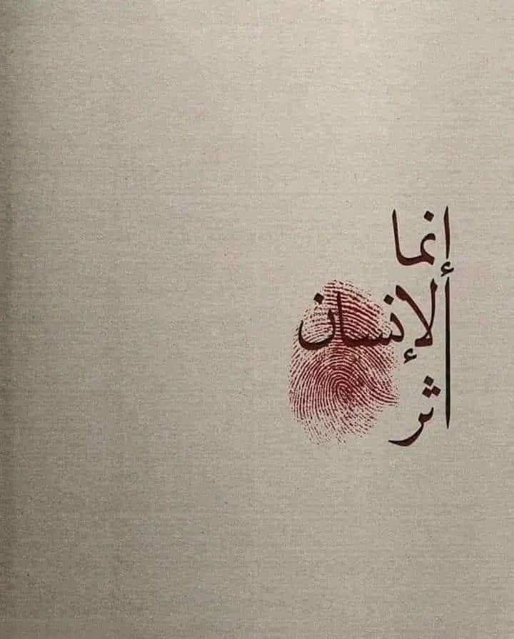HZFOZ8