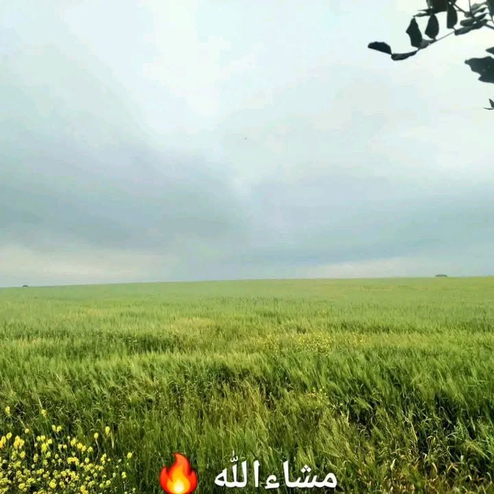 5F4CXV 2